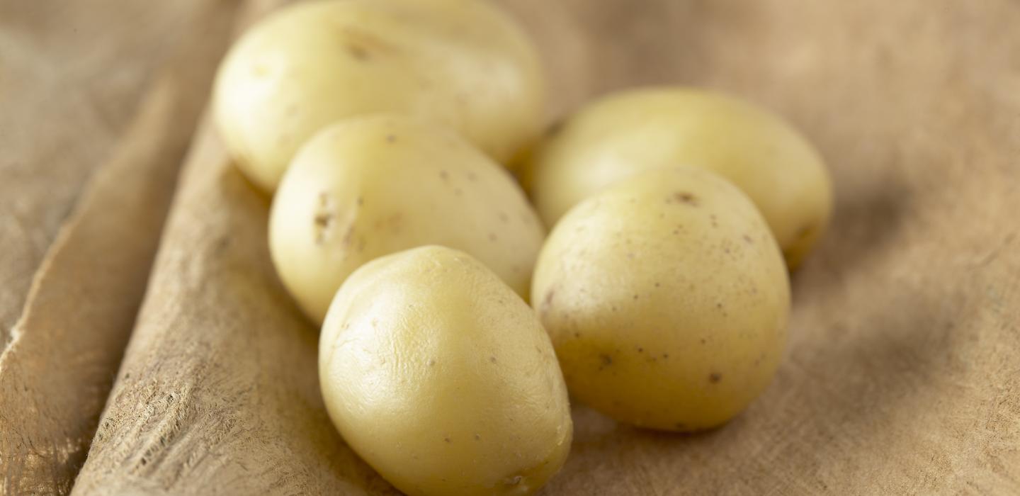 Flemish potatoes