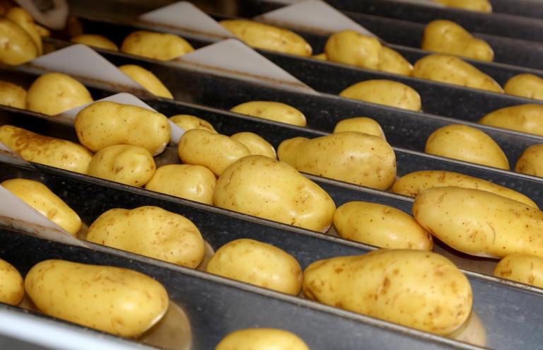 Flämische Kartoffeln