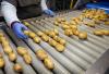 Inspection of Flemish potatoes